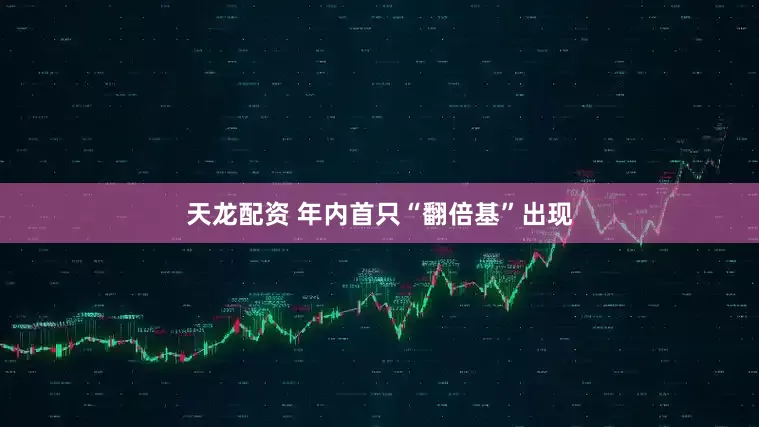 天龙配资 年内首只“翻倍基”出现