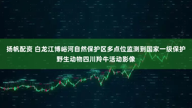 扬帆配资 白龙江博峪河自然保护区多点位监测到国家一级保护野生动物四川羚牛活动影像