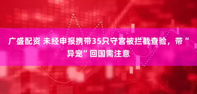 广盛配资 未经申报携带35只守宫被拦截查验，带“异宠”回国需注意