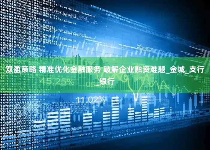 双盈策略 精准优化金融服务 破解企业融资难题_金城_支行_银行