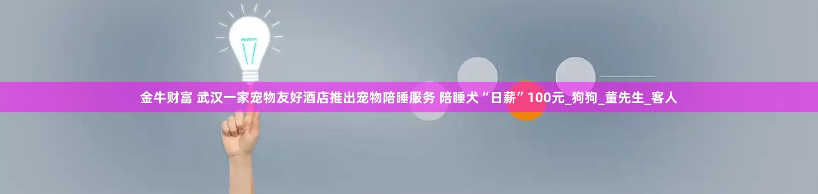 金牛财富 武汉一家宠物友好酒店推出宠物陪睡服务 陪睡犬“日薪”100元_狗狗_董先生_客人